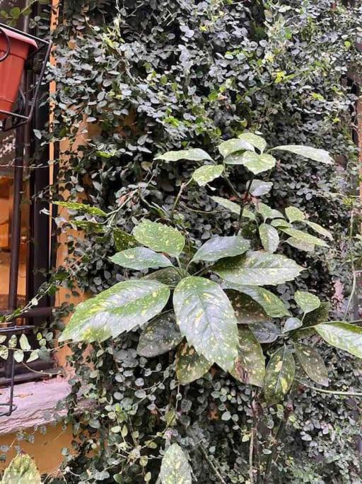 Loft Di Design Nel Cuore Di Milano מראה חיצוני תמונה